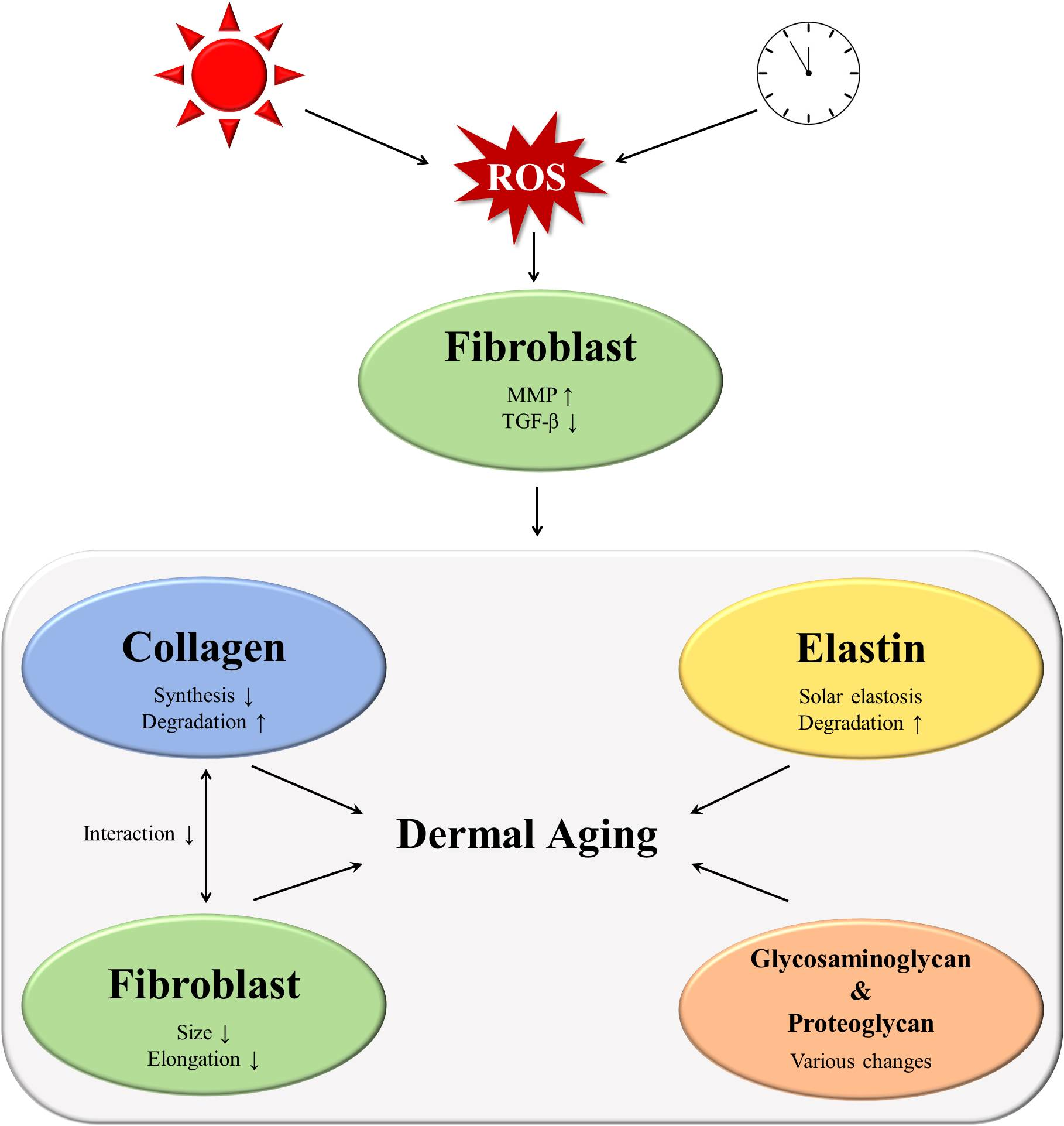 skin-problems-hormone imbalance